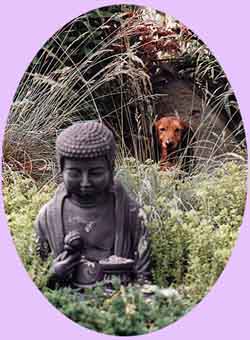Buddha and Me